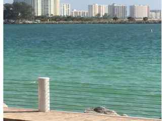 450 S GULFVIEW BLVD #208