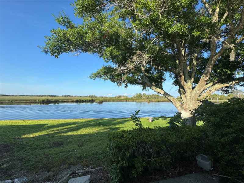 11568 W BAYSHORE DR #17