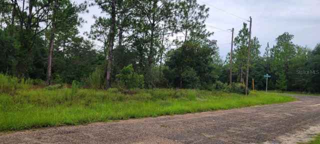 6567 N CLARION TER