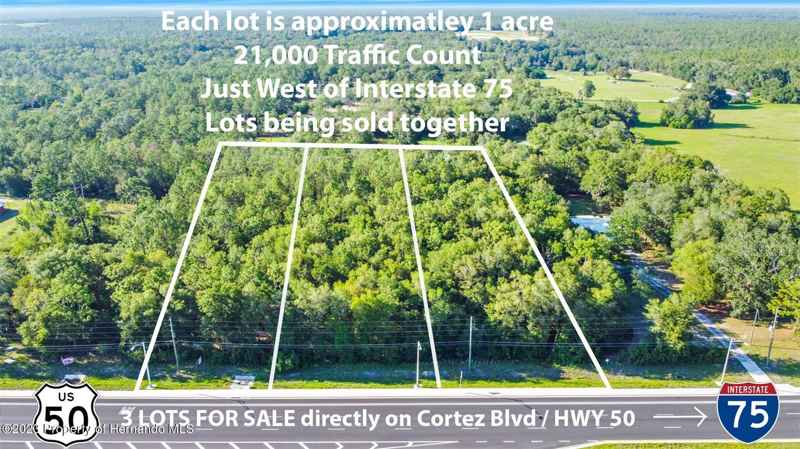CORTEZ BLVD
